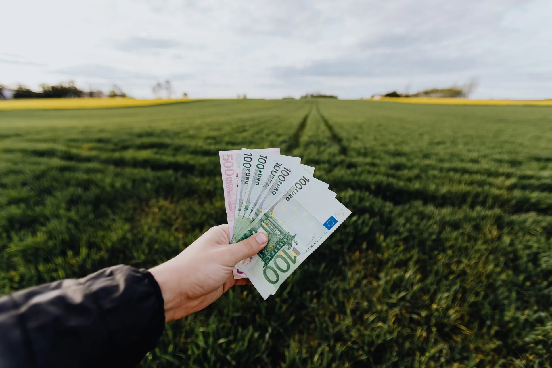 ¿Qué es la inversión verde?