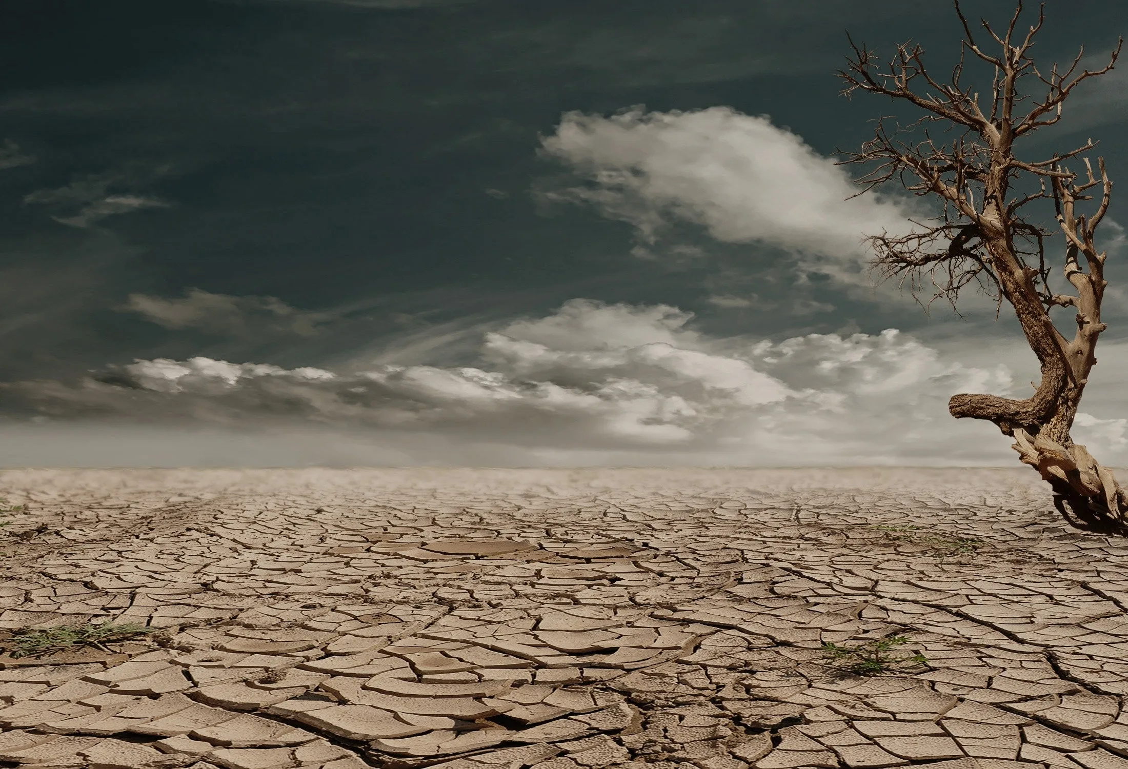 Invertir en Clima